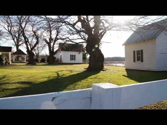 Read more about the article Living In The Countryside In The Richmond VA Area