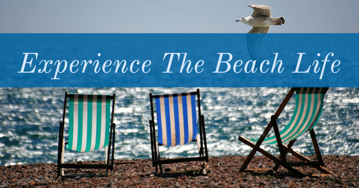 Read more about the article Experience The Beach Life